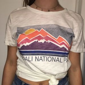 Denali National Park T-Shirt